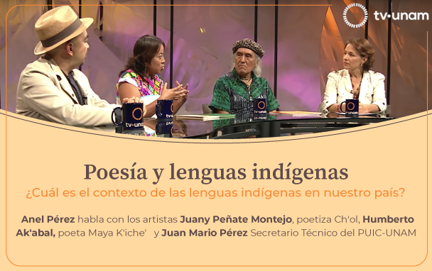 Observatorio Cotidiano: Poesía y lenguas indígenas.